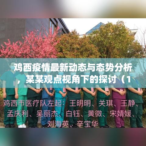 雞西疫情最新動態(tài)與態(tài)勢分析，某某觀點(diǎn)視角下的探討（11月最新）