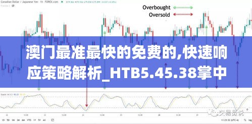 澳門最準(zhǔn)最快的免費(fèi)的,快速響應(yīng)策略解析_HTB5.45.38掌中版