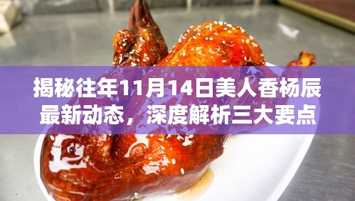 揭秘往年11月14日美人香楊辰最新動態(tài)，深度解析三大要點回顧