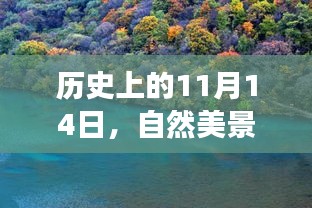 歷史上的11月14日，自然美景的印刷之旅與內(nèi)心的寧靜探尋