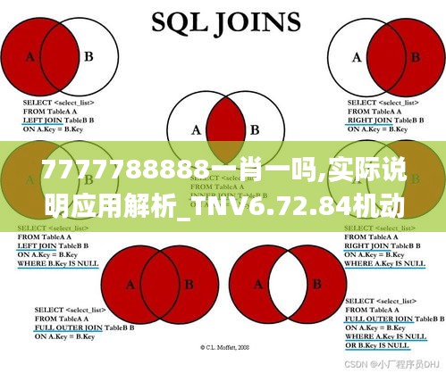 7777788888一肖一嗎,實(shí)際說明應(yīng)用解析_TNV6.72.84機(jī)動版