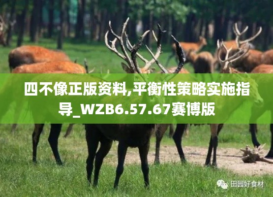 四不像正版資料,平衡性策略實(shí)施指導(dǎo)_WZB6.57.67賽博版