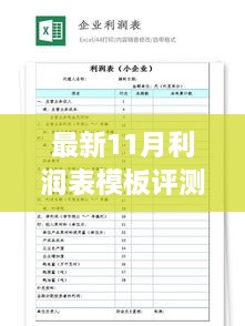 最新11月利潤表模板評(píng)測與介紹，全面指南