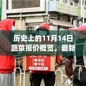 歷史上的11月14日蔬菜報價概覽，最新蔬菜市場報價分析