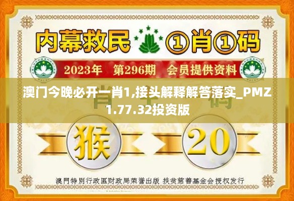 澳門今晚必開一肖1,接頭解釋解答落實_PMZ1.77.32投資版