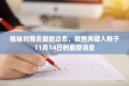 揭秘劉賜貴最新動(dòng)態(tài)，聚焦關(guān)鍵人物于11月14日的最新消息