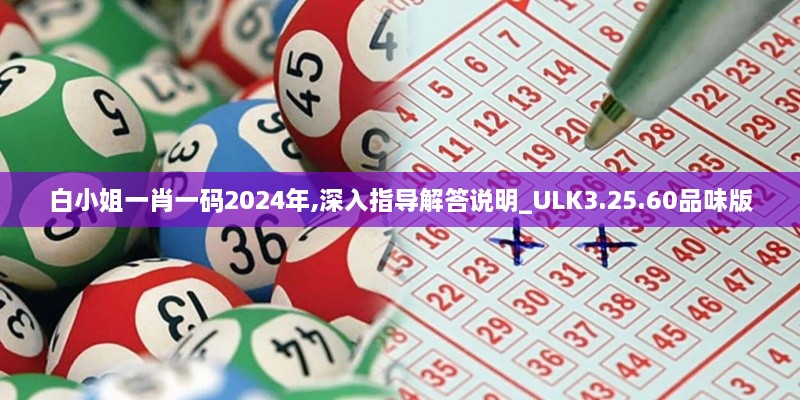 白小姐一肖一碼2024年,深入指導(dǎo)解答說(shuō)明_ULK3.25.60品味版