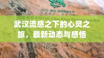 武漢流感之下的心靈之旅，最新動(dòng)態(tài)與感悟