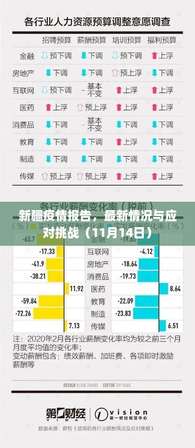 新疆疫情報告，最新情況與應(yīng)對挑戰(zhàn)（11月14日）