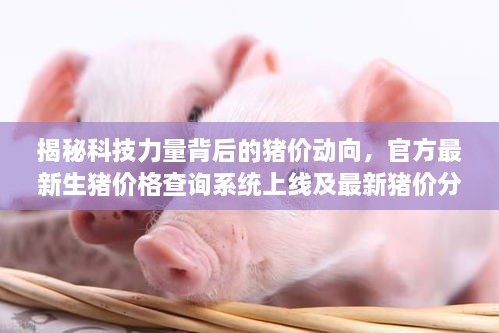 揭秘科技力量背后的豬價(jià)動(dòng)向，官方最新生豬價(jià)格查詢系統(tǒng)上線及最新豬價(jià)分析
