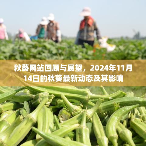 秋葵網(wǎng)站回顧與展望，2024年11月14日的秋葵最新動態(tài)及其影響