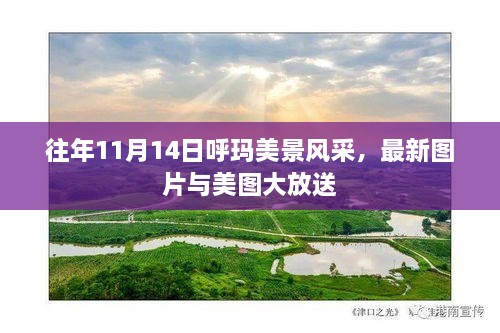 往年11月14日呼瑪美景風采，最新圖片與美圖大放送