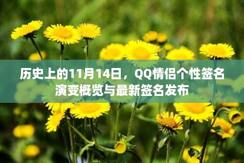 歷史上的11月14日，QQ情侶個(gè)性簽名演變概覽與最新簽名發(fā)布
