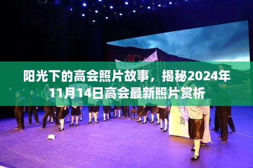 陽光下的高會照片故事，揭秘2024年11月14日高會最新照片賞析