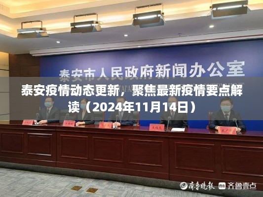 泰安疫情動態(tài)更新，聚焦最新疫情要點解讀（2024年11月14日）