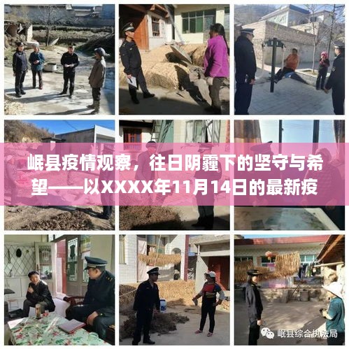 岷縣疫情觀察，往日陰霾下的堅守與希望——以XXXX年11月14日的最新疫情為例
