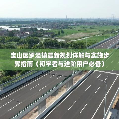 寶山區(qū)羅涇鎮(zhèn)最新規(guī)劃詳解與實(shí)施步驟指南（初學(xué)者與進(jìn)階用戶必備）