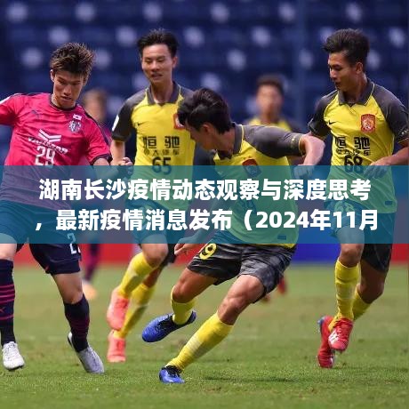 湖南長沙疫情動態(tài)觀察與深度思考，最新疫情消息發(fā)布（2024年11月）