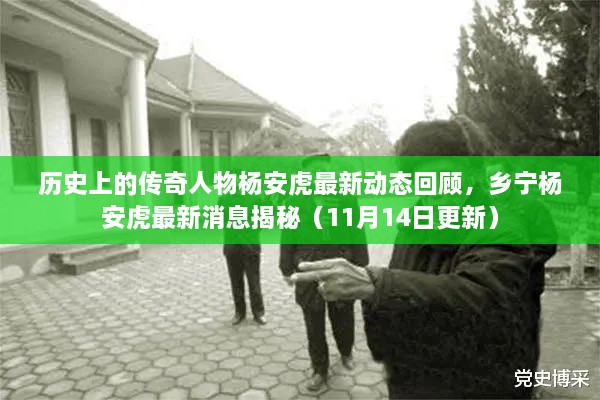 歷史上的傳奇人物楊安虎最新動(dòng)態(tài)回顧，鄉(xiāng)寧楊安虎最新消息揭秘（11月14日更新）