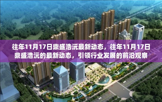 往年11月17日鼎盛浩沅最新動(dòng)態(tài)，引領(lǐng)行業(yè)前沿發(fā)展觀察