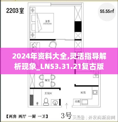 2024年資料大全,靈活指導(dǎo)解析現(xiàn)象_LNS3.31.21復(fù)古版