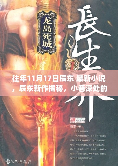 辰東新作揭秘，小巷深處的神秘小說緣之旅