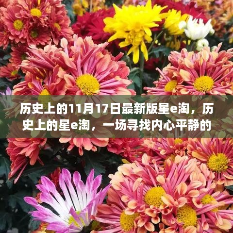 星e淘奇妙之旅，探尋歷史印記下的內心平靜之旅