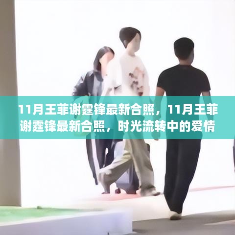 王菲與謝霆鋒的十一月最新合照，時(shí)光流轉(zhuǎn)中的愛情印記