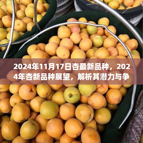 2024年杏新品種展望，解析潛力與爭(zhēng)議