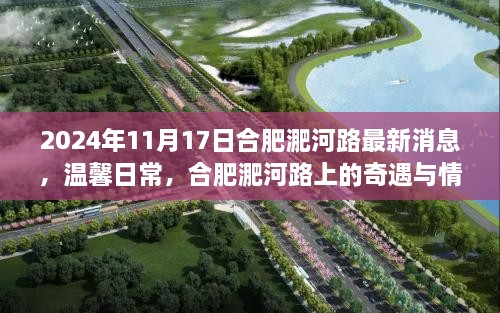 合肥淝河路最新動態(tài)，陽光之旅見證奇遇與情感紐帶（2024年11月17日）