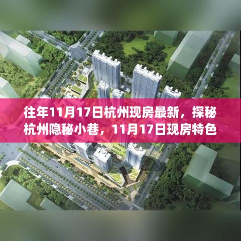 探秘杭州隱秘小巷，11月17日現(xiàn)房特色小店的獨特魅力與最新房源展示