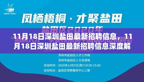 深圳鹽田最新招聘信息深度解析及求職指南