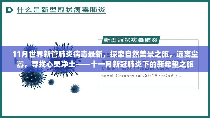 十一月新冠肺炎下的新希望之旅，探索自然美景，尋找心靈凈土與最新病毒動態(tài)