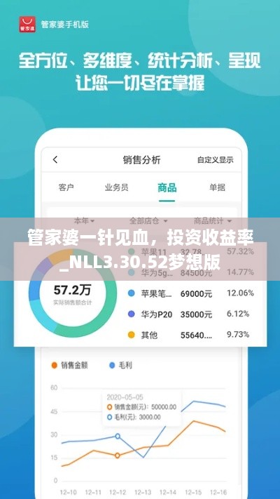 管家婆一針見血，投資收益率_NLL3.30.52夢想版