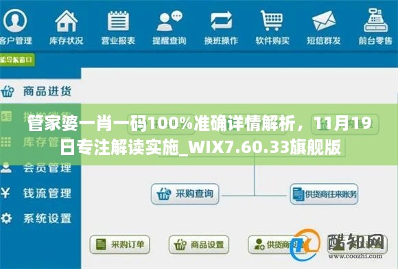 管家婆一肖一碼100%準(zhǔn)確詳情解析，11月19日專注解讀實(shí)施_WIX7.60.33旗艦版