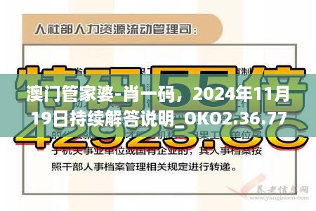 澳門管家婆-肖一碼，2024年11月19日持續(xù)解答說明_OKO2.36.77原型