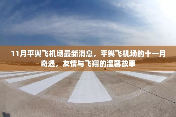 平輿飛機(jī)場(chǎng)十一月奇遇，友情與飛翔的溫馨故事最新消息