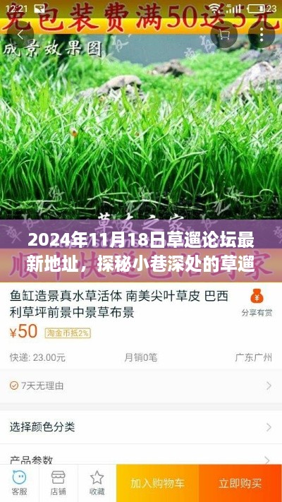 探秘小巷深處的草遛論壇，美食奇遇的指南（最新地址）