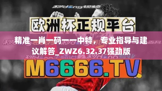 精準(zhǔn)一肖一碼一一中特，專業(yè)指導(dǎo)與建議解答_ZWZ6.32.37強勁版