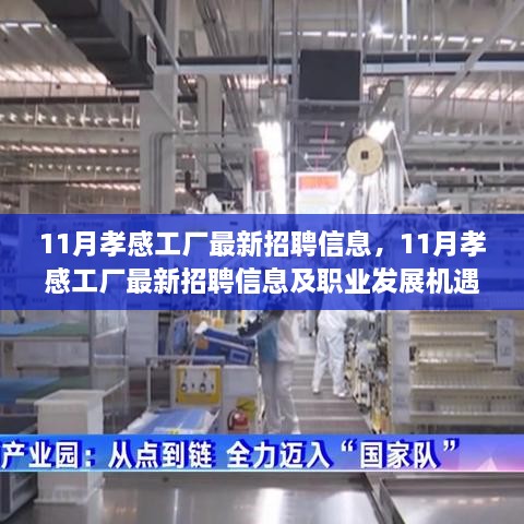 11月孝感工廠最新招聘信息及職業(yè)發(fā)展機(jī)遇解析