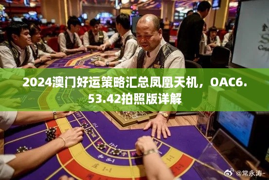 2024澳門好運策略匯總鳳凰天機，OAC6.53.42拍照版詳解