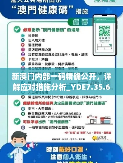 新澳門內(nèi)部一碼精確公開，詳解應對措施分析_YDE7.35.61模擬版