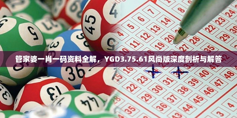 管家婆一肖一碼資料全解，YGD3.75.61風(fēng)尚版深度剖析與解答