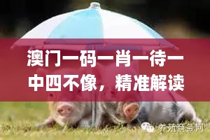 2024年11月20日 第48頁