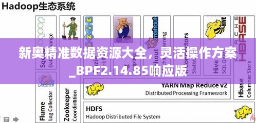 新奧精準數(shù)據(jù)資源大全，靈活操作方案_BPF2.14.85響應(yīng)版