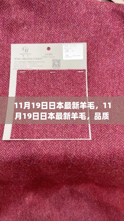 日本最新羊毛，品質(zhì)與時(shí)尚兼?zhèn)涞膬?yōu)質(zhì)之選（11月19日更新）