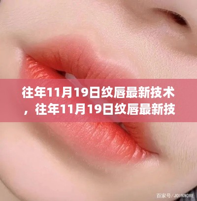 往年11月19日紋唇最新技術(shù)全面解析，特性、體驗(yàn)、對比與用戶需求洞察的深入評測