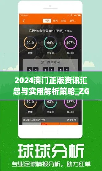 2024澳門正版資訊匯總與實用解析策略_ZGJ1.60.30版本
