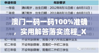 澳門一碼一碼100%準確，實用解答落實流程_XWT5.63.92觸感版