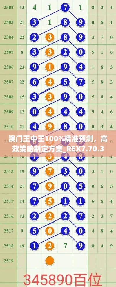 澳門王中王100%精準(zhǔn)預(yù)測，高效策略制定方案_REX7.70.32先鋒版本